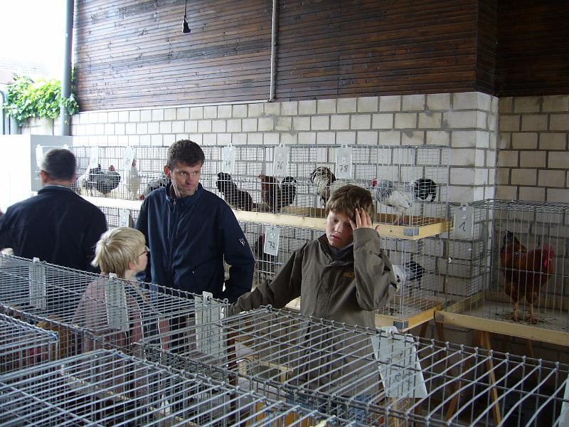 Haehnewettkraehen 2009 014.jpg